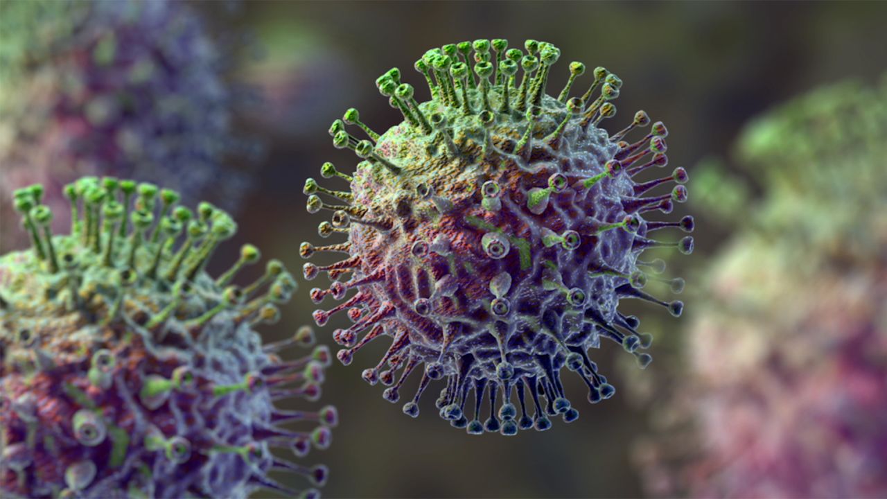 Private flu vaccination appointment at Manchester Chemist